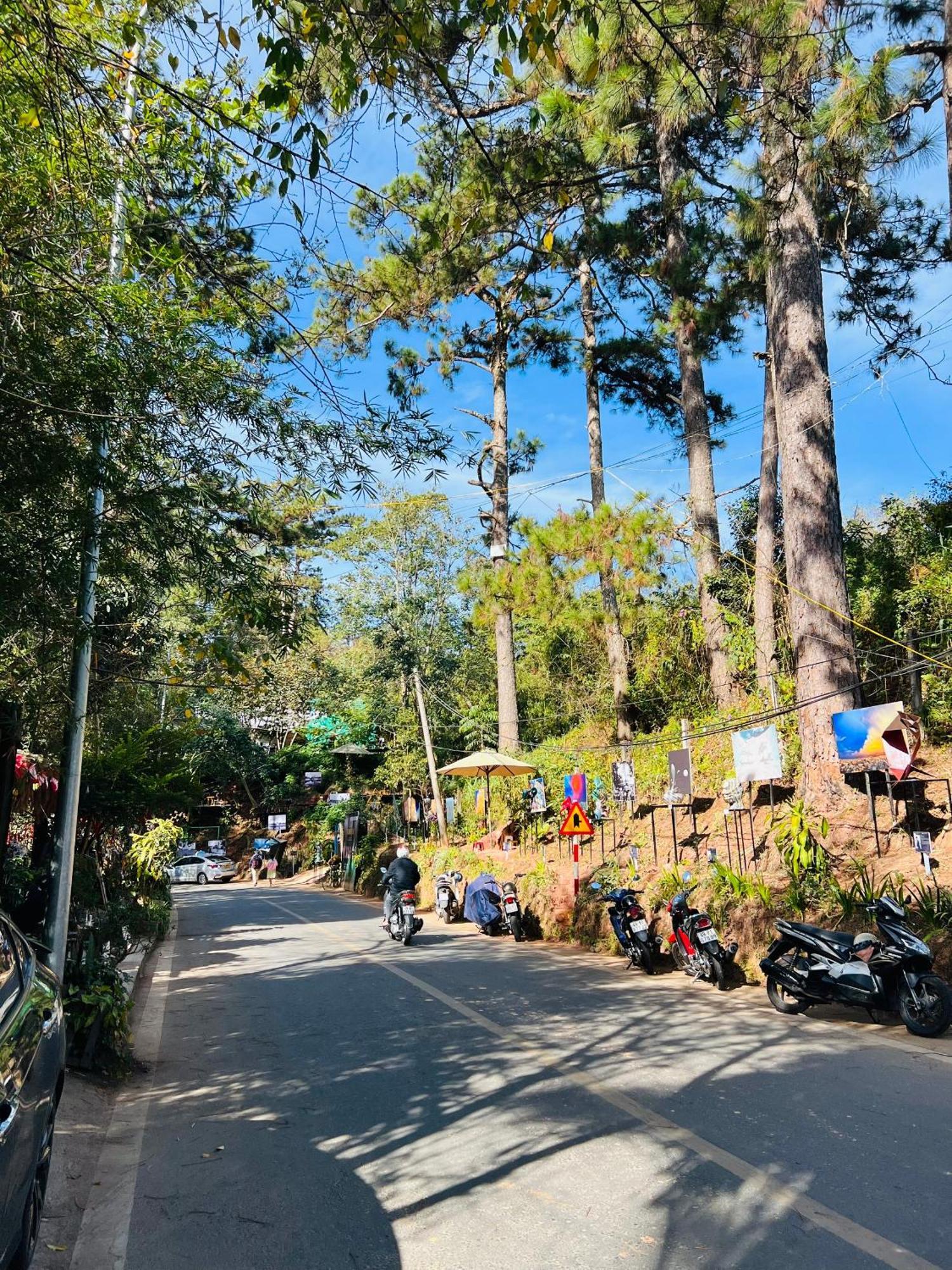 Nature Hotel - Dalat 3 Eksteriør billede